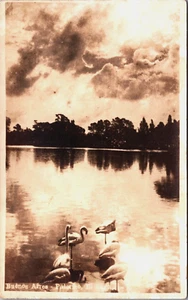 Argentina Buenos Aires Palermo El Lago Vintage RPPC B211 - Imagen 1 de 2