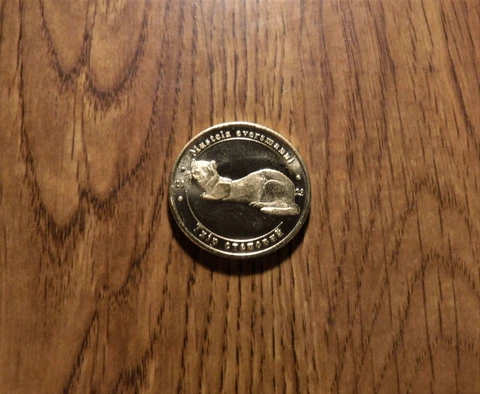 ONE UKRIANE 1 HRYVEN 2023 STEPPE FERRET UNC. COIN (UK16) Cover