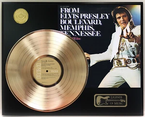 Elvis Presley - De Elvis Presley Boulevard Gold LP exhibición de placa de disco - Imagen 1 de 3