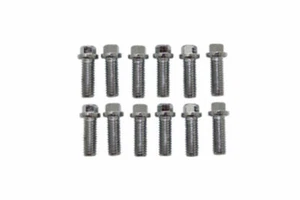 Intake 12pc Bolt Kit, 6Pt Head, Chrome, Fits Chevy SB SBC V8 283-400, V6 90 - Foto 1 di 1