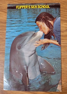 Flipper's Sea School 1960's Vintage Post Card Grassy Key Florida Unused - Picture 1 of 2