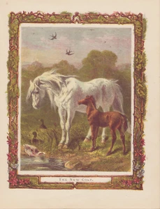 BEAUTIFUL HORSE WITH HER COLT GREETING DUCKS ANTIQUE LITHOGRAPH ART PRINT 1870 - Picture 1 of 2