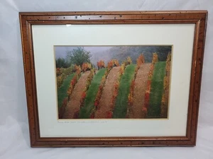 Signed Framed Photograph Vinyard In Chianti 1999 14"x17.5" As Pictured - Picture 1 of 9