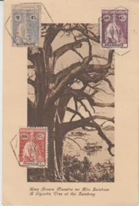 Postal África Mocambique barco en el Zambezi 1929 - Imagen 1 de 2