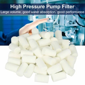 50PCS Pump Filter Electric High Pressure 30MPa Air Compressor System Pump Filter - Picture 1 of 6