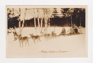 Foto real POSTAL TARJETA Deportes de invierno en Canadá EQUIPO PERRO - Imagen 1 de 1