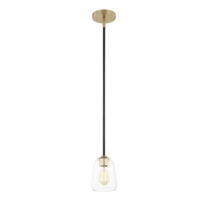 Justice Evolv Arcwell 1-Lt Pendant, Clear Glass/Black/Brass - FSN-8103-CLER-MBBR - Picture 1 of 1