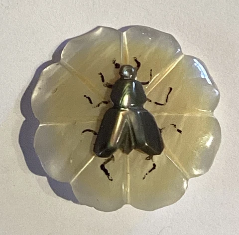 GORGEOUS CARVED UNITED SHELL BUTTON WITH INSECT / HOUSE FLY Cover