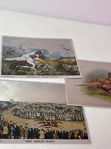 Juego De Colección De 3 Tarjetas Postales De Colección De Lámina Grabada Dufex Carrera De Caballos Caza Aves - Imagen 1 de 7