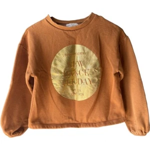 Zara Kids Girls Brown Sweatshirt Size 10 - Picture 1 of 3