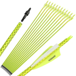 30" Carbon Arrows Archery SP500 Screw Tips 100gr Compoundbow Recurve Bow Hunting - Picture 1 of 18