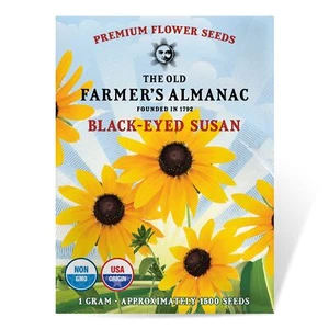 Black Eyed Susan Seeds Rudbeckia - Approx 1200 Flower Seeds Flower Seeds - Pr... - Picture 1 of 9