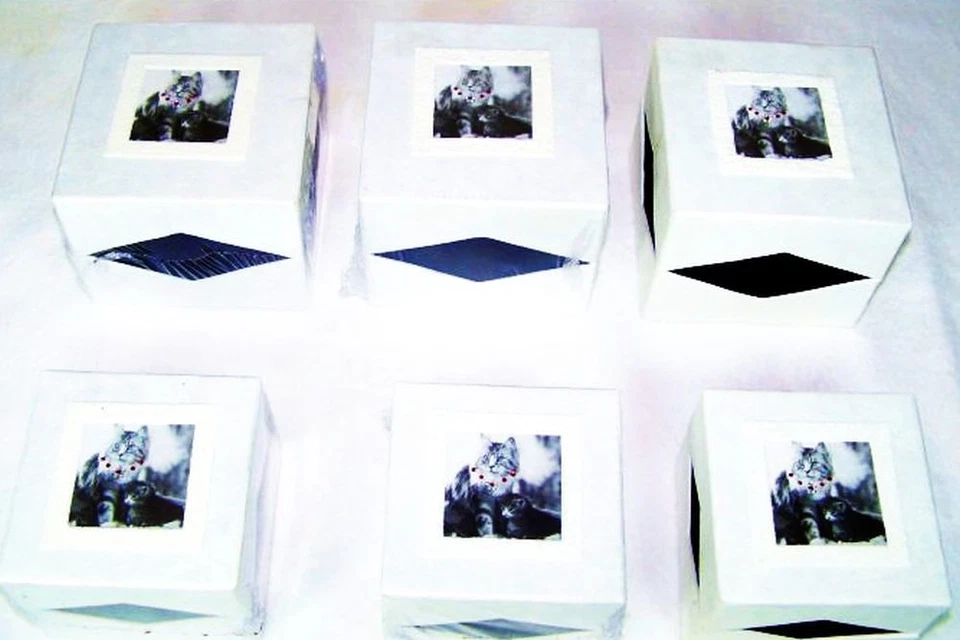 KÖGLER 6 Stück Katzen Geschenkbox von Mario Moreno Geschenk Boxen Katze Neu OVP