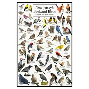 Póster de aves en el patio trasero de Nueva Jersey - Tabla de alimentador de aves de Nueva Jersey - Observación de aves - Imagen 1 de 6