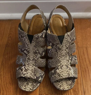 Corso Como Women's Snake Printed Leather Sandals, Size-8M - Imagem 1 de 4