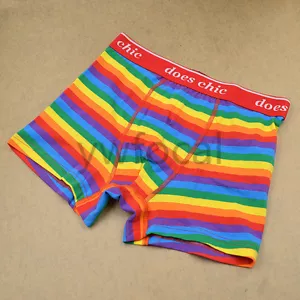 1x Ropa Interior para Hombre Arco Iris Orgullo a Rayas Gay LGBT Boxer Pantalones Cortos Calzoncillos M-XXXL - Imagen 1 de 11