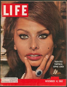 Life Magazine November 14 1960 Sophia Loren Tiger-Eyed Temptress - Picture 1 of 2