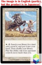 Magic: The Gathering MTG Jpver Foil Weathered Wayfarer ONS Rare