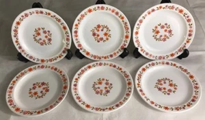 Lot 92 De 6 Petites Assiettes Arcopal Vintage France D 18,5 Cm Fleurs Oranges - Imagen 1 de 11