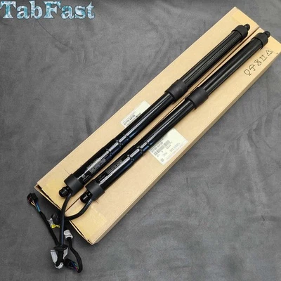 New Left & Right Power Tailgate Lifter Strut Fit for 2015-2021 Kia Sedona 3.3L — 第 1/4 张图片