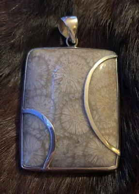 Colgante grande concha fósil plata Stirling 925 nueva caja cojín cúpula rectangular Foto 1 de 4