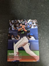 BBM 2017 fusion Yakult Swallows Rivero Baseball Cards from Japan