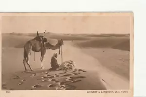 Card Mailing Postal Lehnert & Landrock Orientalism 1910 Form - Bild 1 von 2