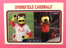 2023 Choice, Springfield Cardinals - TEAM MASCOTS