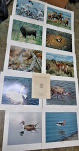 Gruppe Wildlife Portrait Serie - Nr. 1 Fisch und Wildtiere U.S. Dept. of interior - Bild 1 von 12