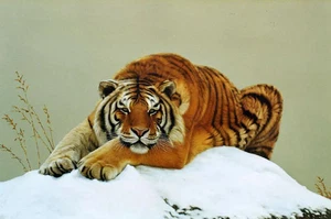 Fine wild animal yellow tiger in winter snow canvas Oil painting - Picture 1 of 1