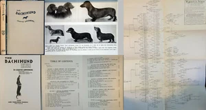DOGS The DACHSHUND Grayce Greenburg 1942 HC 3rd ed fold-out PEDIGREE PETS - Bild 1 von 8
