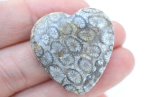 GOLDJUNGE69 GW KORALLE FOSSIL EDELSTEIN HERZ  33 x 33mm 67 ct. + - Bild 1 von 4