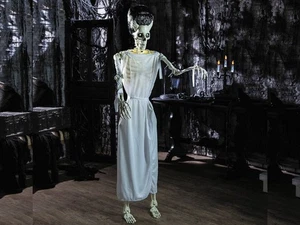 Esqueleto Novia Tamaño Natural Halloween Utilería Monstruo Casa Embrujada Frankenstein Decoración - Imagen 1 de 2