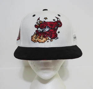 Sombrero Snapback CHICAGO BULLS BMO Serie Artista 2022 2023 Antonio Ainscough - Imagen 1 de 8