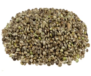Intera Canapa Semi Ottimo Per Pesca 50g-450g - Picture 1 of 1