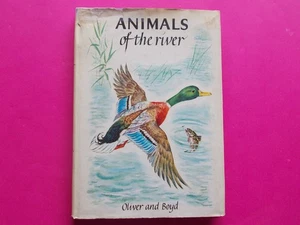 Animales del río por Marcelle Verite Publicado Oliver y Boyd HC D J - 1963 - Imagen 1 de 10