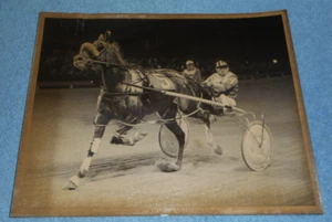 Harness Racing Press Photo Horse "Commander Dell" John Hayes Garden City Raceway - Picture 1 of 2