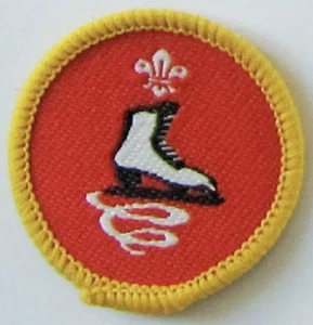 Cub Scout Activity Badge - Skater - Post 2002 - New - Picture 1 of 1