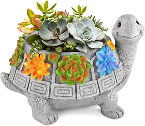 LESES Turtle Succulent Pot Planters for Indoor Plants with Drainage Hole, Flower - Picture 1 of 1