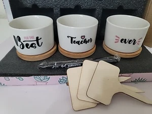 Teacher Appreciation Gift, Succelent Pots- set of 3 Best Teacher Ever - Picture 1 of 5