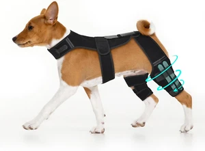 Dog Knee Brace with Vest Adjustable ACL Support for Hind Leg Injuries, Arthritis - Picture 1 of 7