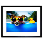 Photo Jack Russell Beach Dog Rubber Duck Framed Print 12x16 Inch