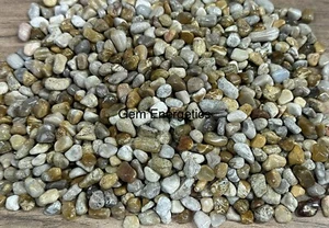 Coral Jade Chip Stone Coral Jade Crystal Gemstone Jade Mini Chi Stone Chakra. - Picture 1 of 2