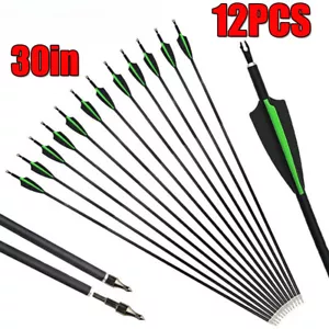 12Pcs 30in Mixed Carbon Arrows Archery Hunting SP500 for Recurve & Compound Bow - Picture 1 of 11