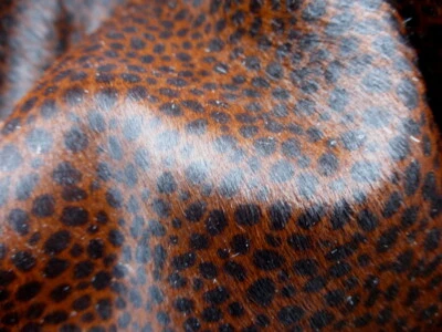 Calfskin Hair On leather hide Small Scale Wildcat Spotted Black/Brown Silky Hair - Image 1 of 4