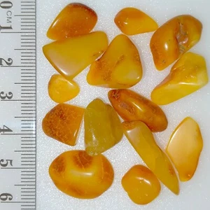 Ámbar Báltico Natural Suelto Pulido Mate Piedras Preciosas Lote 50.9ct - Imagen 1 de 7