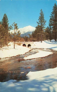 Postal Strawberry Creek en invierno Idyllwild California publicada de colección - Imagen 1 de 2