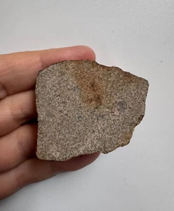 Meteorite HED achondrite eucrite-unbr end NEA 037 33.4g - Picture 1 of 3