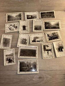 Logging Camp Antique Photo Lot Of 16 - Picture 1 of 17
