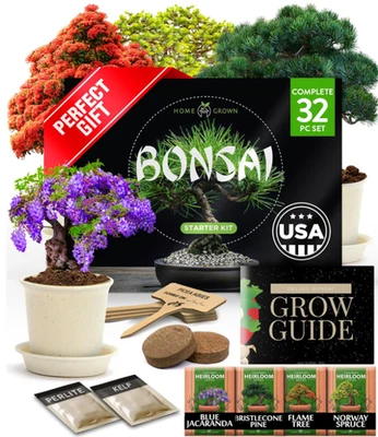 Kit de árbol bonsai - Cultiva 4 árboles bonsai únicos - Regalo perfecto para jardineros Foto 1 de 4